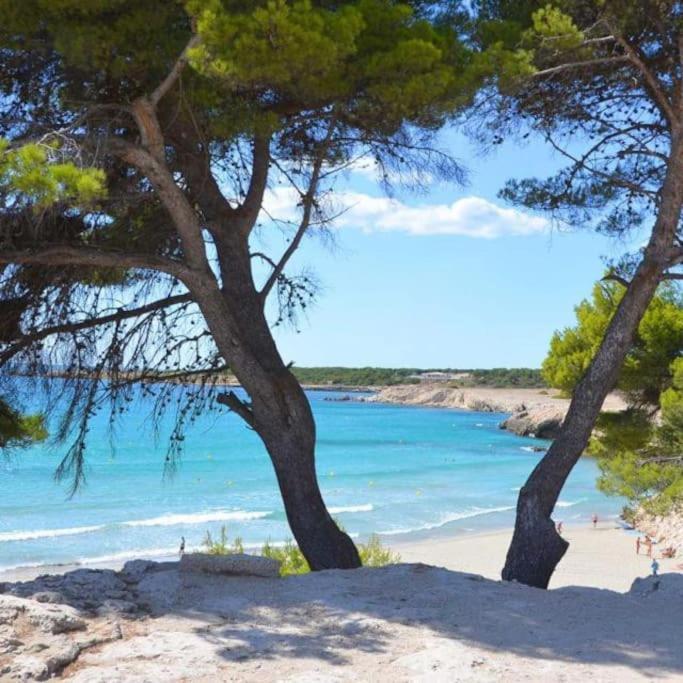 فيلا T2 Proche Cote Bleue Marseille Aeroport Gare Tgv Aix Gignac-la-Nerthe المظهر الخارجي الصورة